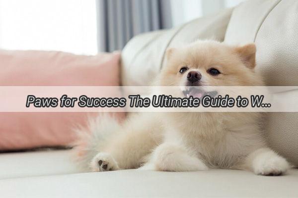 Paws for Success The Ultimate Guide to Walking Your Dog with Grace and Ease